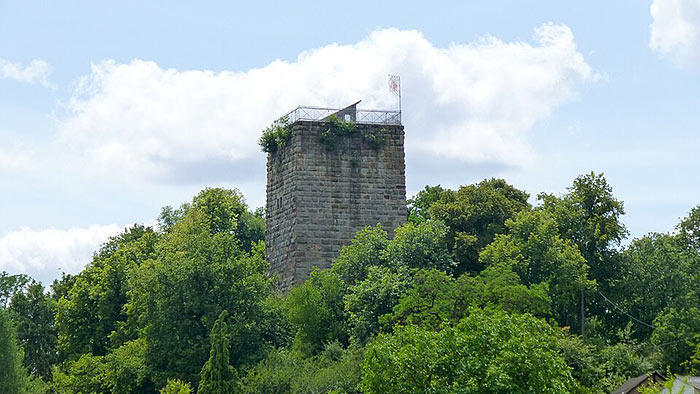 Bergfried Burg Sponheim über Bäumen