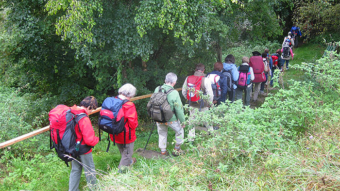 Wandergruppe von Pilgern abwärts gehend durch Büsche und Bäume